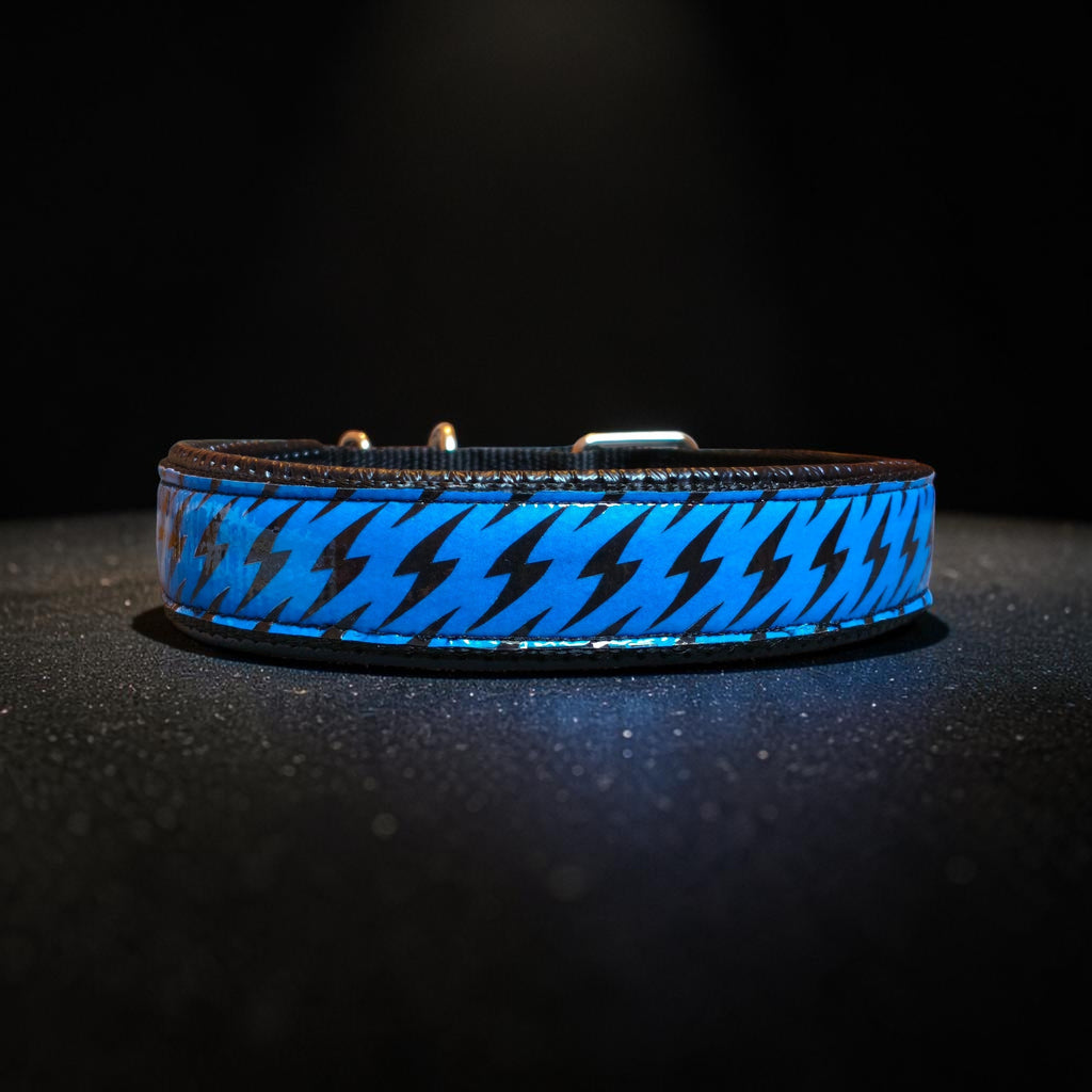 GLO-TEX Lightning | Blue Reflective Dog Collar