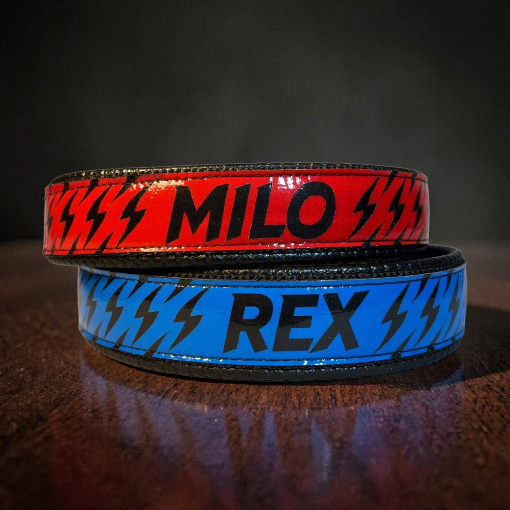 GLO-TEX Reflective Dog Collar with Custom Name