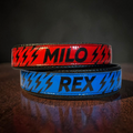 GLO-TEX Reflective Dog Collar with Custom Name