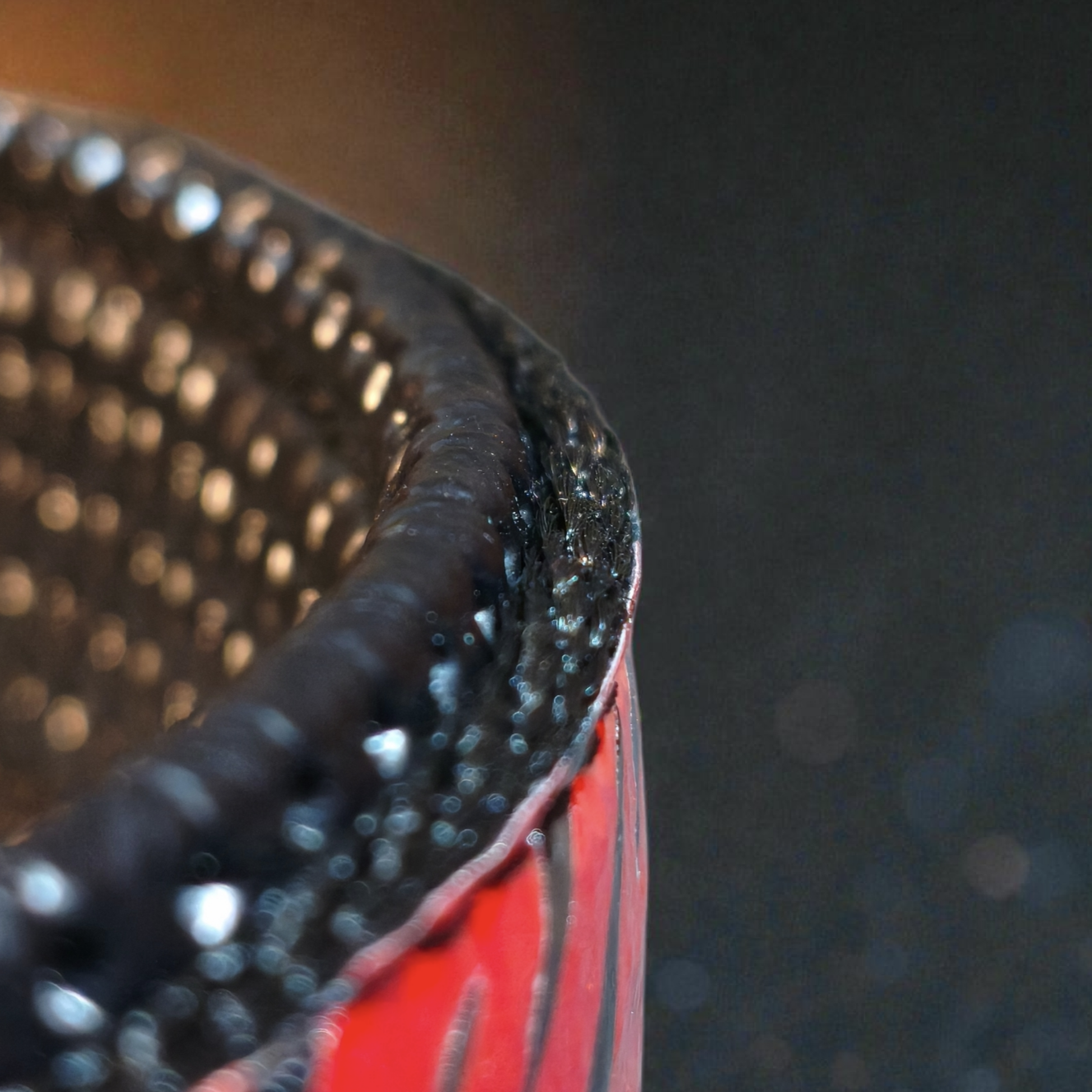 GLO-TEX Lightning Reflective Dog Collar