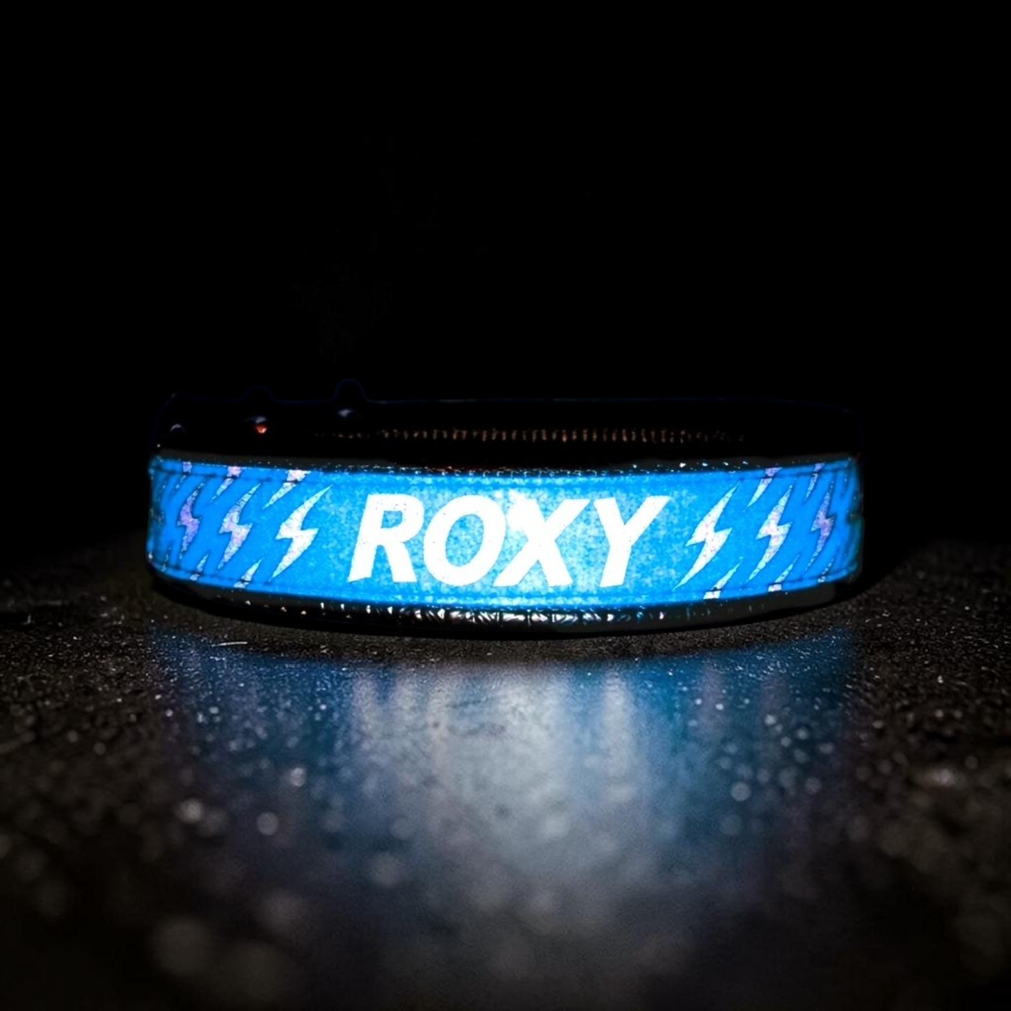 GLO-TEX Reflective Dog Collar with Custom Name