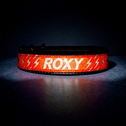 GLO-TEX Reflective Dog Collar with Custom Name